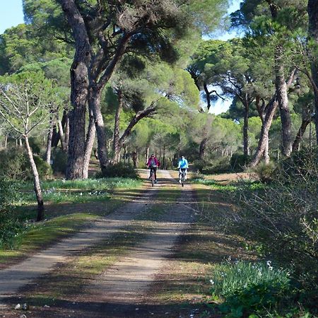 Sanlucarsun Apartamento Frente Al Mar Sanlúcar de Barrameda Exteriér fotografie