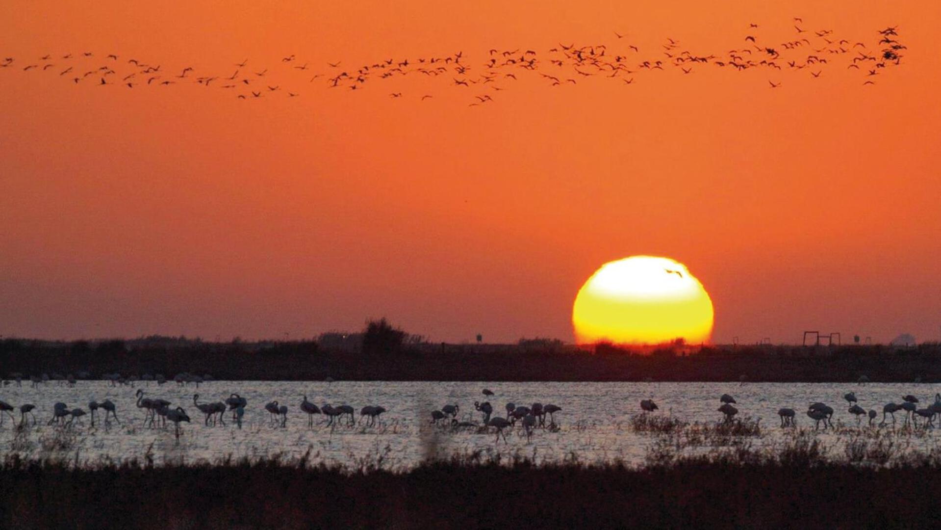 Sanlucarsun Apartamento Frente Al Mar Sanlúcar de Barrameda Exteriér fotografie